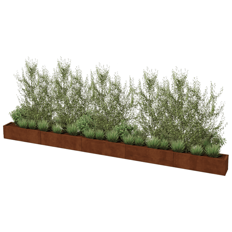 Corten čelična tegla za cvijeće Texas xxl 500 x 30 cm