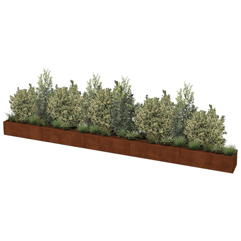 Corten čelična tegla za cvijeće Texas xxl 500 x 40 cm
