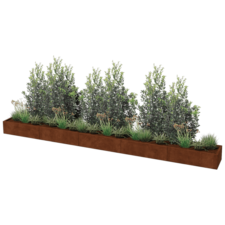 Corten čelična tegla za cvijeće Texas xxl 500 x 50 cm