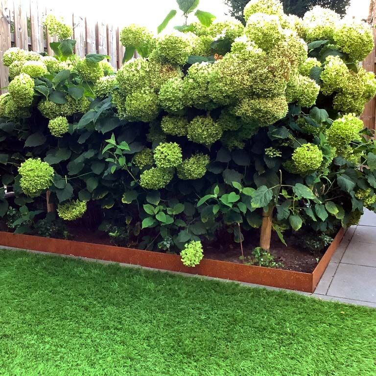 Corten čelične rubnjaci za travnjak izravnato 13 cm (dužina 150 cm)