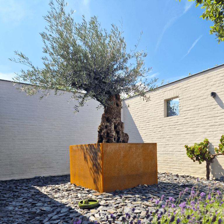 Zavarena corten čelična tegla za cvijeće Montana 140 x 140 x 80 cm