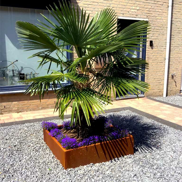 Corten čelična tegla za cvijeće Miami 100 x 100 cm