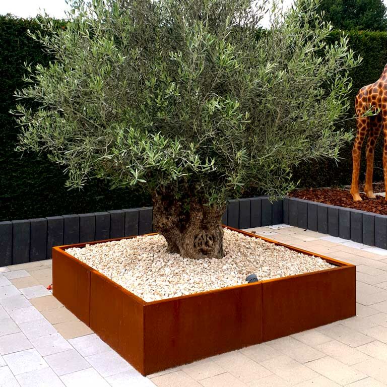 Corten čelična tegla za cvijeće Miami xxl 160 x 160 cm