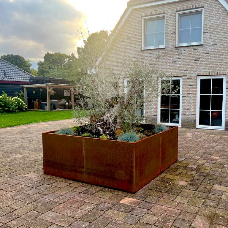 Corten čelična tegla za cvijeće Miami xxl 240 x 240 cm