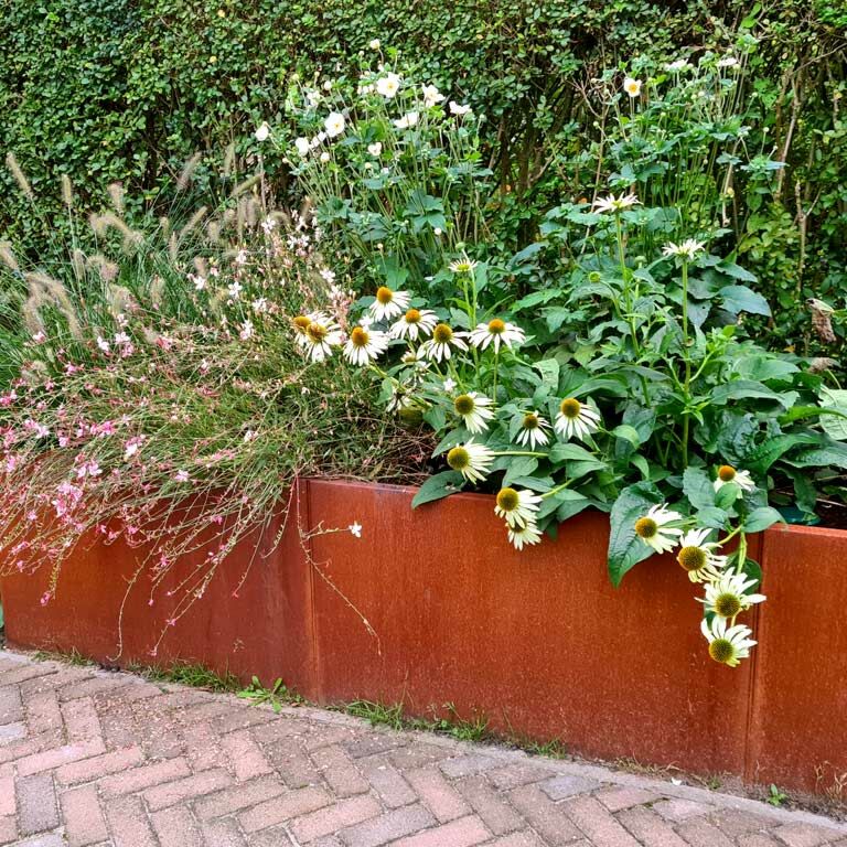 Corten čelična tegla za cvijeće Texas xxl 300 x 80 cm