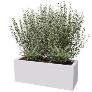 Čelična tegla za cvijeće - Pravokutnik - 80 x 30 x 80 cm - Druga RAL boja - S donjom pločom - S nogama