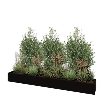 Stakloplastična tegla za cvijeće - Pravougaonik - 200 x 30 x 20 cm - RAL9005 mat (crna) - S dnom