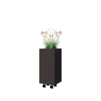Čelična tegla za cvijeće - Kvadrat - 30 x 30 x 60 cm - RAL7016 mat (antracit siva) - S donjom pločom - S kotačima