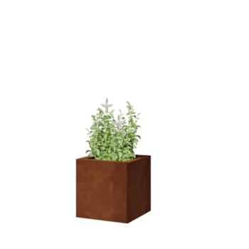 Corten čelik tegla za cvijeće - Kvadrat - 30 x 30 x 30 cm - S donjom pločom