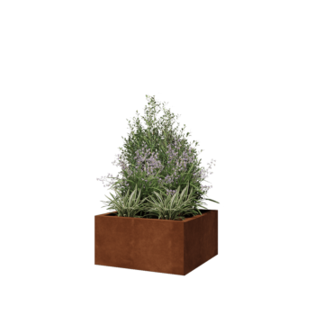 Corten čelik tegla za cvijeće - Kvadrat - 60 x 60 x 30 cm - S donjom pločom