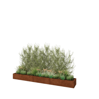 Corten čelik tegla za cvijeće XXL - Pravokutnik - 360 x 50 x 30 cm - Bez donje ploče