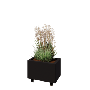 Čelična tegla za cvijeće - Pravokutnik - 50 x 30 x 30 cm - RAL9005 mat (crna) - S donjom pločom - S kotačima