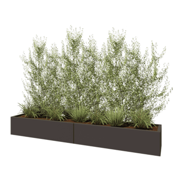 Čelična tegla za cvijeće XXL - Pravokutnik - 240 x 40 x 30 cm - RAL7016 mat (antracit siva) - S donjom pločom