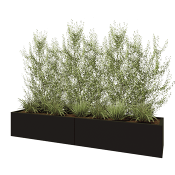 Čelična tegla za cvijeće XXL - Pravokutnik - 240 x 50 x 40 cm - RAL9005 mat (crna) - Bez donje ploče