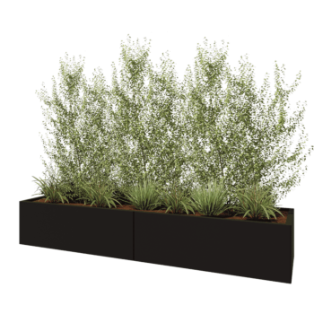 Čelična tegla za cvijeće XXL - Pravokutnik - 240 x 60 x 40 cm - RAL9005 mat (crna) - Bez donje ploče