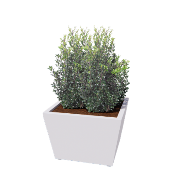 Čelik tegla za cvijeće - Konus - 80 x 80 x 51,5 cm - Zavareno - RAL9010 mat (bijela) - S donjom pločom