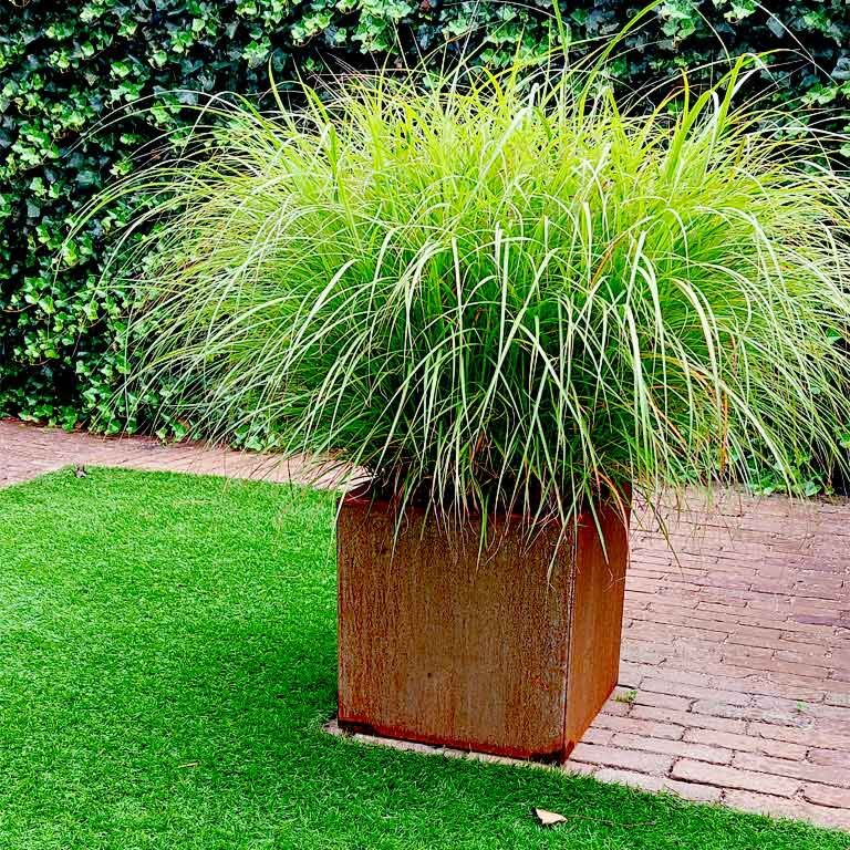 Corten čelična tegla za cvijeće Miami 40 x 40 cm