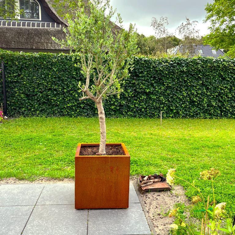 Corten čelična tegla za cvijeće Miami 60 x 60 cm