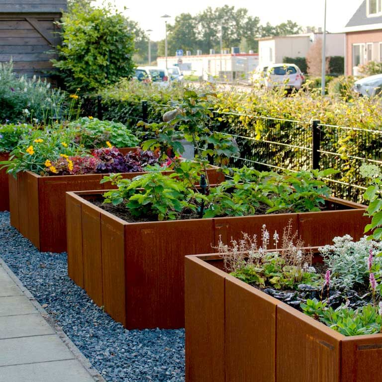 Corten čelična tegla za cvijeće Miami xxl 150 x 150 cm