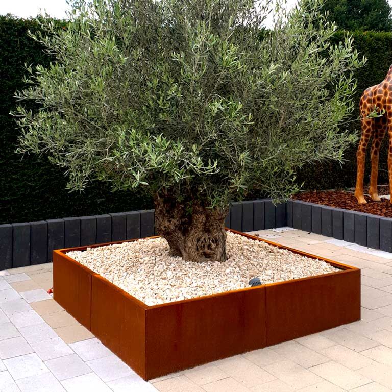 Corten čelična tegla za cvijeće Miami xxl 160 x 160 cm