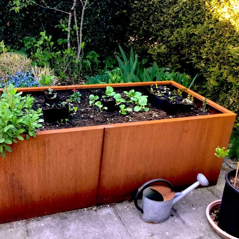 Corten čelična tegla za cvijeće Texas xxl 200 x 80 cm