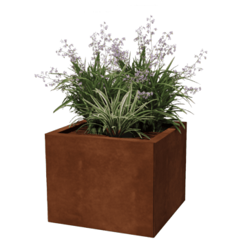 Corten čelična tegla za cvijeće Miami 50 x 50 cm