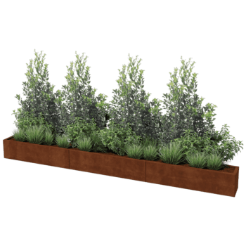 Corten čelična tegla za cvijeće Texas xxl 360 x 30 cm