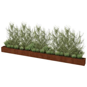 Corten čelična tegla za cvijeće Texas xxl 500 x 30 cm
