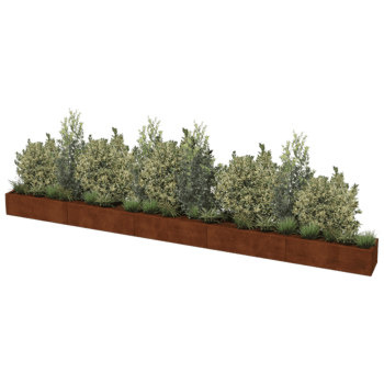 Corten čelična tegla za cvijeće Texas xxl 500 x 40 cm