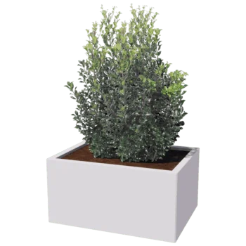 Čelična tegla za cvijeće - Pravokutnik - 60 x 80 cm