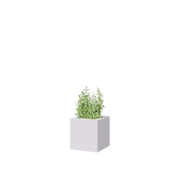 Čelična tegla za cvijeće - Kvadrat - 30 x 30 x 30 cm - RAL9010 mat (bijela) - Bez donje ploče