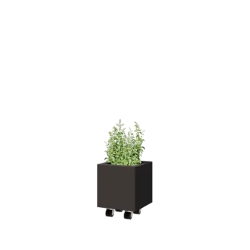 Čelična tegla za cvijeće - Kvadrat - 30 x 30 x 30 cm - Druga RAL boja - S donjom pločom - S kotačima