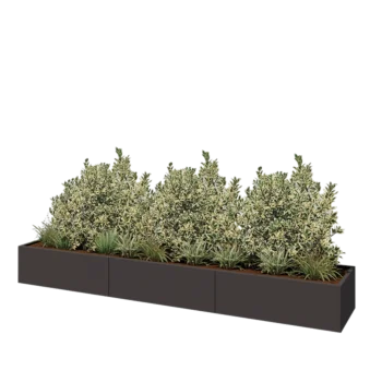 Čelična tegla za cvijeće XXL - Pravokutnik - 360 x 60 x 40 cm - RAL7016 mat (antracit siva) - S donjom pločom