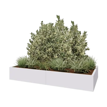 Čelična tegla za cvijeće XXL - Pravokutnik - 200 x 100 x 30 cm - RAL9010 mat (bijela) - S donjom pločom