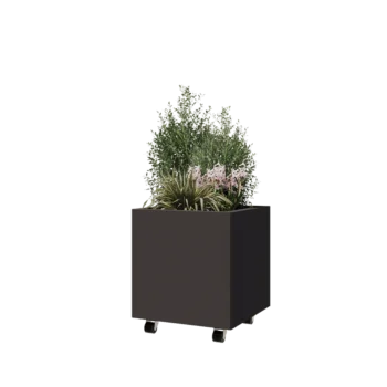 Čelična tegla za cvijeće - Kvadrat - 50 x 50 x 50 cm - RAL7016 mat (antracit siva) - S donjom pločom - S kotačima