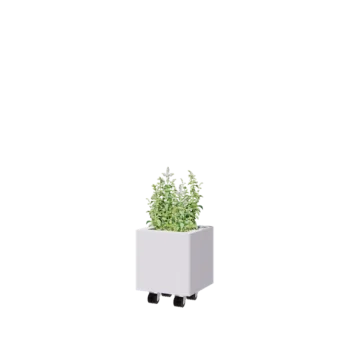 Čelična tegla za cvijeće - Kvadrat - 30 x 30 x 30 cm - RAL9010 mat (bijela) - S donjom pločom - S kotačima