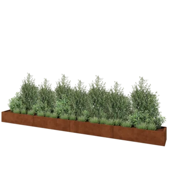 Corten čelik tegla za cvijeće XXL - Pravokutnik - 480 x 40 x 30 cm - Bez donje ploče