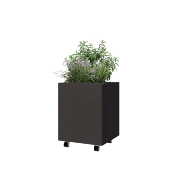 Čelična tegla za cvijeće - Kvadrat - 50 x 50 x 60 cm - Druga RAL boja - S donjom pločom - S kotačima