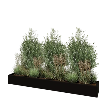 Stakloplastična tegla za cvijeće - Pravougaonik - 200 x 30 x 20 cm - RAL9005 mat (crna) - S dnom