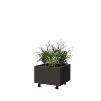 Čelična tegla za cvijeće - Kvadrat - 50 x 50 x 30 cm - Druga RAL boja - S donjom pločom - S kotačima