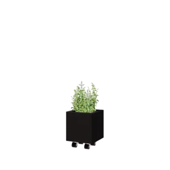 Čelična tegla za cvijeće - Kvadrat - 30 x 30 x 30 cm - RAL9005 mat (crna) - S donjom pločom - S kotačima