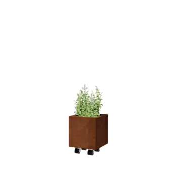 Corten čelik tegla za cvijeće - Kvadrat - 30 x 30 x 30 cm - S donjom pločom - S kotačima