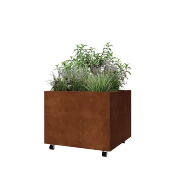 Corten čelik tegla za cvijeće - Kvadrat - 80 x 80 x 60 cm - S donjom pločom - S kotačima