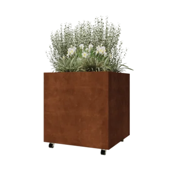 Corten čelik tegla za cvijeće - Kvadrat - 80 x 80 x 80 cm - S donjom pločom - S kotačima