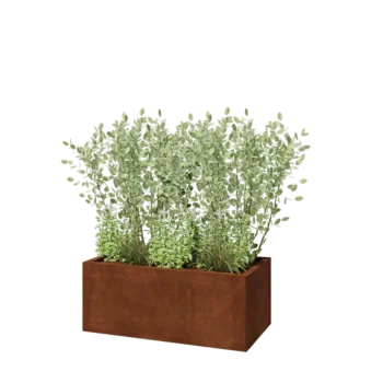 Corten čelik tegla za cvijeće - Pravokutnik - 100 x 50 x 40 cm - S donjom pločom