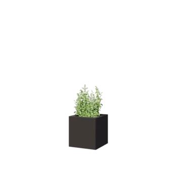 Čelična tegla za cvijeće - Kvadrat - 30 x 30 x 30 cm - RAL7016 mat (antracit siva) - Bez donje ploče