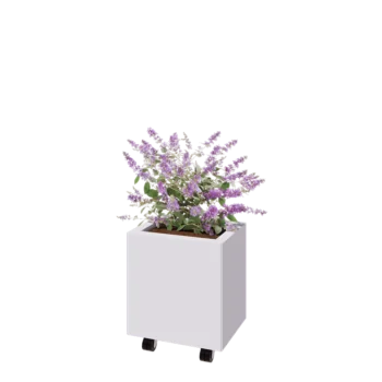 Čelična tegla za cvijeće - Pravokutnik - 40 x 30 x 40 cm - RAL9010 mat (bijela) - S donjom pločom - S kotačima