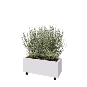 Čelična tegla za cvijeće - Pravokutnik - 80 x 30 x 30 cm - RAL9010 mat (bijela) - S donjom pločom - S kotačima