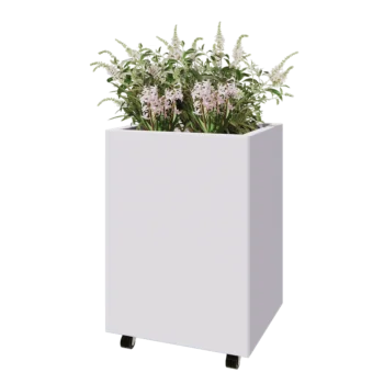 Čelična tegla za cvijeće - Pravokutnik - 60 x 50 x 80 cm - RAL9010 mat (bijela) - S donjom pločom - S kotačima