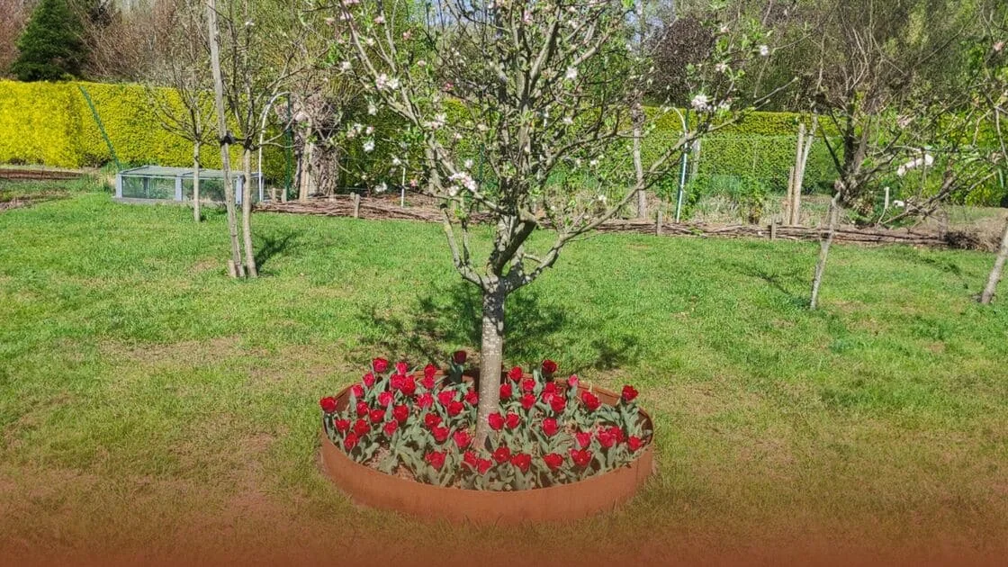 Kako napraviti obrub oko drveta?